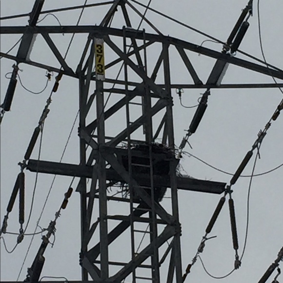 Meet your Posher, Brett - Picture 2 of 4